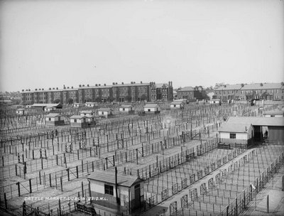 Dublin cattle market